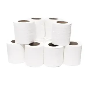 Toaletni papir HS dvoslojni - 10/1