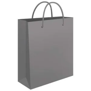 Poklon vrećica FORNAX 24*39*9 srebrna