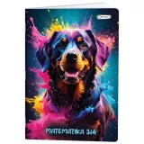 Sveska karo CONNECT 3-4 Premium A5 sa ženskim motivima